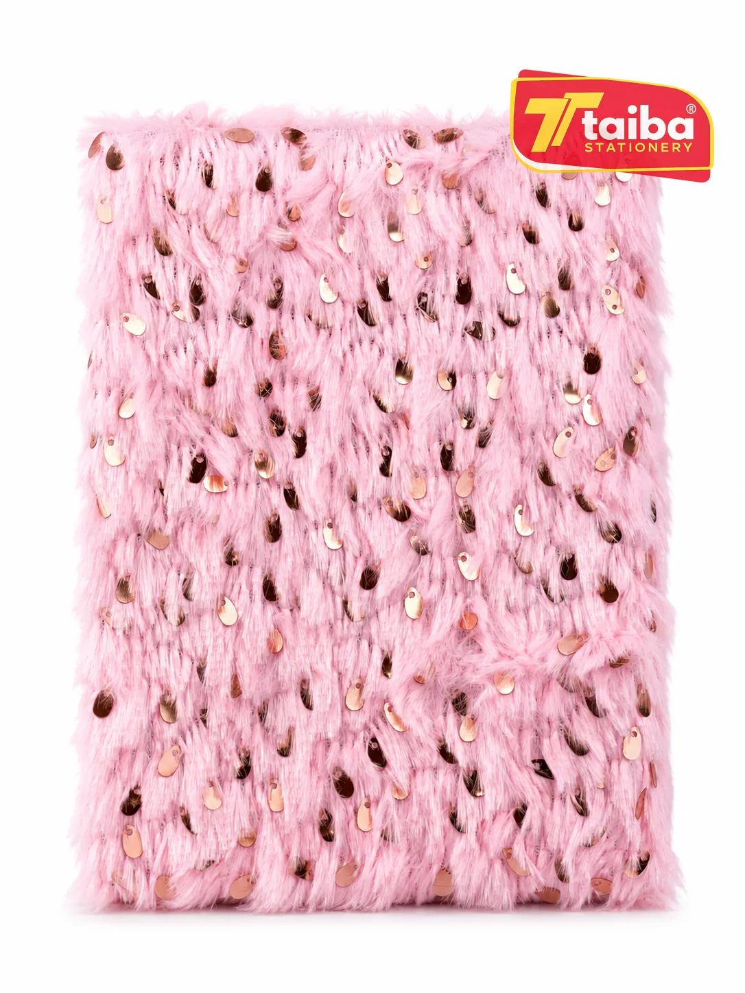CARNET ALGO 2365-4