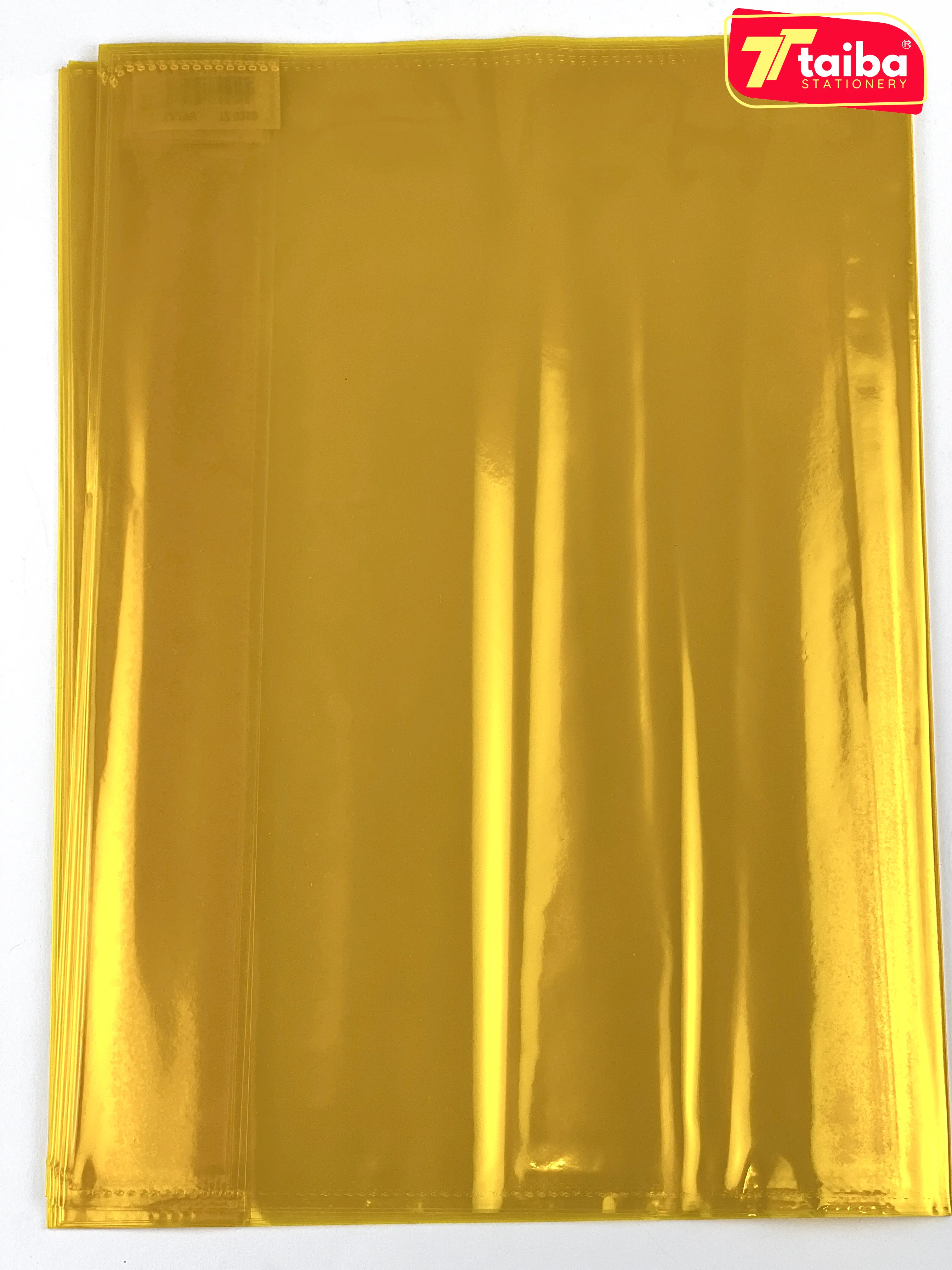 PROTEGE CAHIER VERTEX